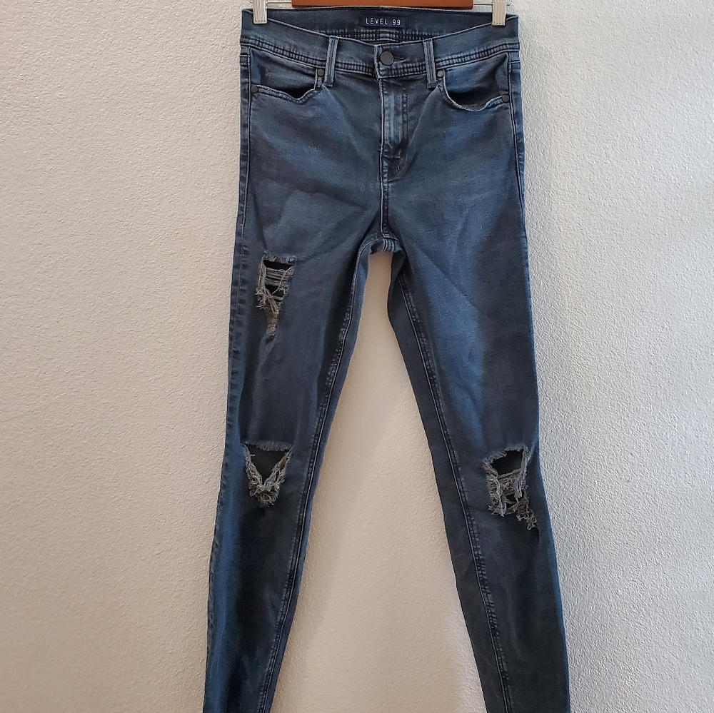 Level 99 Indigo Distressed Skinny